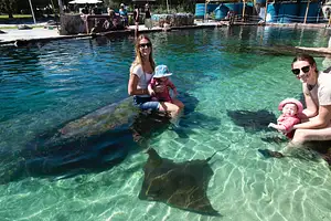 Irukandji Entry Pass with Shallows Encounter & Shark Food Deals